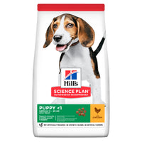 Hill's Science Plan Hund Puppy Adult Medium Trockenfutter Huhn - 14kg  - 4yourdog