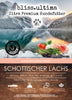 bliss.ultima Adult Schottischer Lachs mit Dill, Spinat, Fenchel, Spargel & Tomate