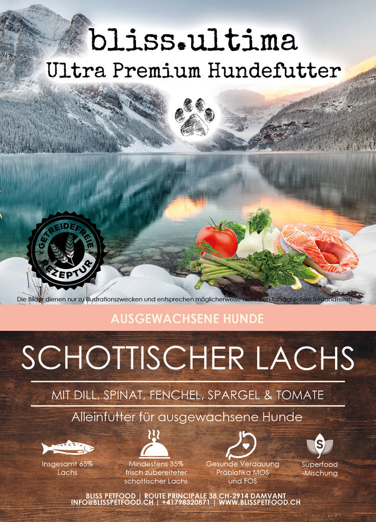 bliss.ultima Adult Schottischer Lachs mit Dill, Spinat, Fenchel, Spargel & Tomate