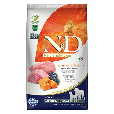 Hund Pumpkin Adult Medium/Maxi mit Lamm und Kürbis - 4yourdog