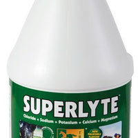 TRM Superlyte Elektrolyt-Sirup - 4yourdog