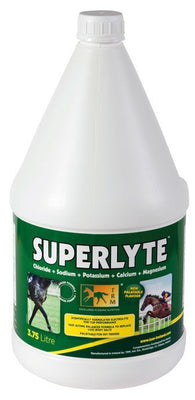 TRM Superlyte Elektrolyt-Sirup - 4yourdog